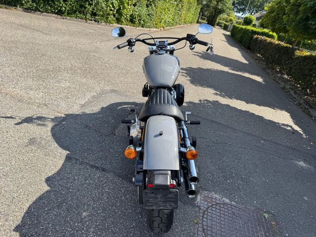 harley-davidson - softail-standard