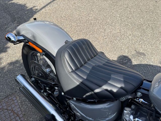 harley-davidson - softail-standard