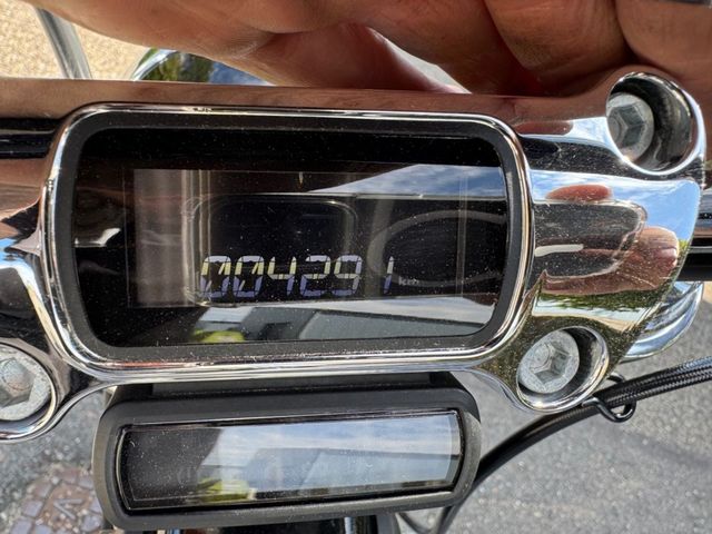 harley-davidson - softail-standard