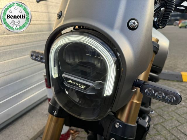benelli - leoncino-800-trail