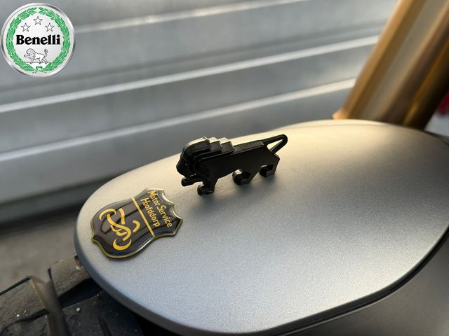 benelli - leoncino-800-trail