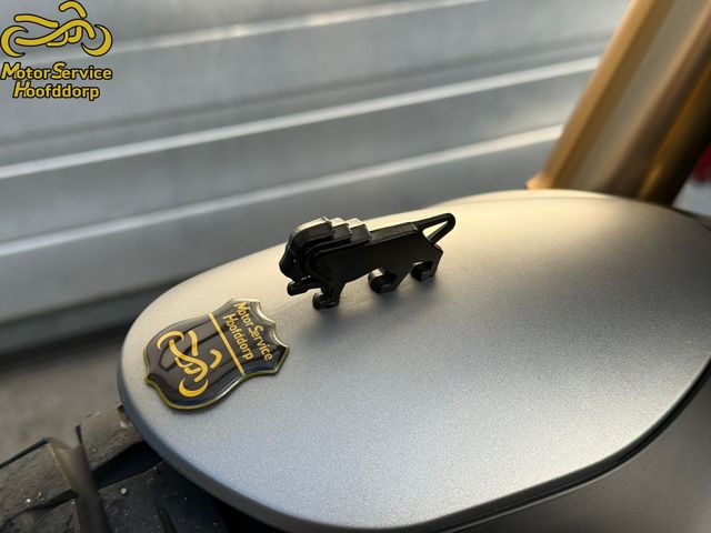 benelli - leoncino-800-trail