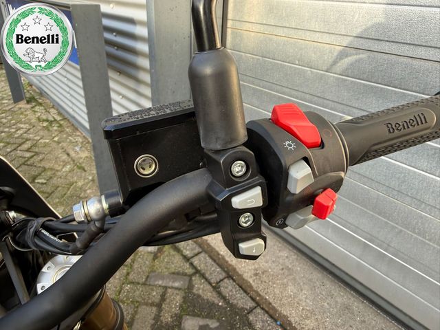 benelli - leoncino-800-trail