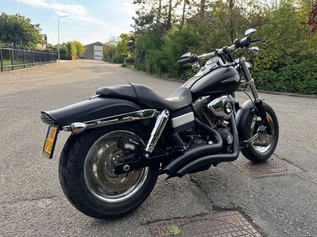 harley-davidson - fatbob
