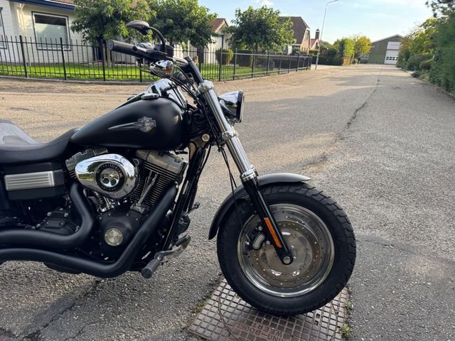 harley-davidson - fatbob