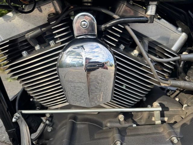harley-davidson - fatbob