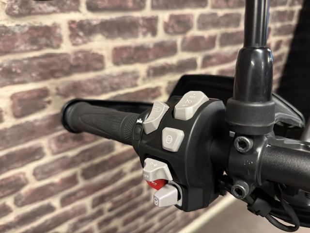 triumph - tiger-900-rally-pro