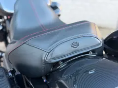Harley-Davidson Fltrxse Road Glide 117 CVO Custom 21inch 2019 occasion – foto 15 van 20