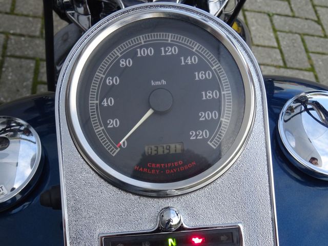 harley-davidson - springer-flsts-softail