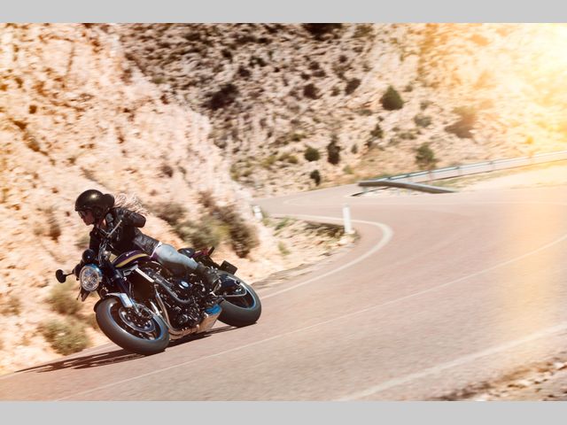 kawasaki - z900rs