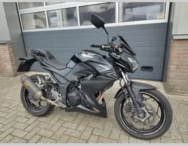 Kawasaki Z 300 2017