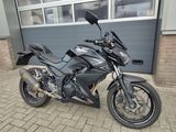 KAWASAKI Z 300