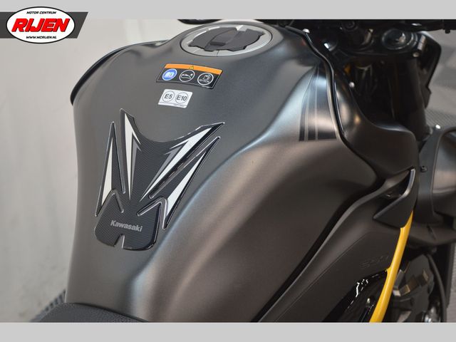 kawasaki - z900-performance