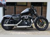 HARLEY-DAVIDSON SPORTSTER IRON XL 883 N