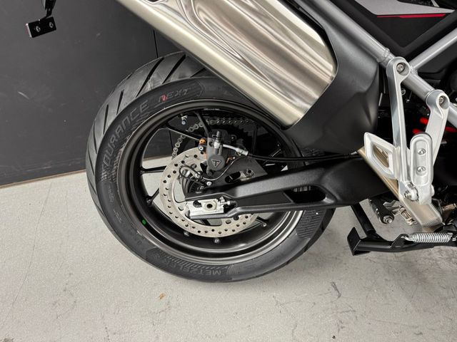 triumph - tiger-900-gt-pro