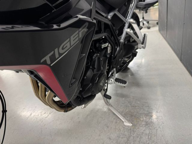 triumph - tiger-900-gt-pro