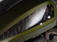 Harley-Davidson RH1250S 2023 occasion – foto 8 van 12
