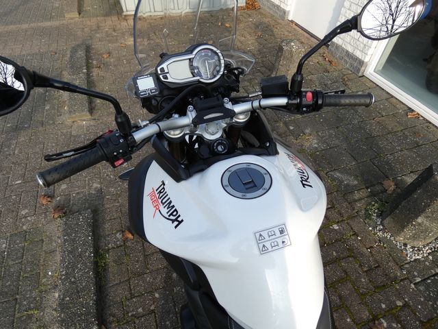 triumph - tiger-800-abs