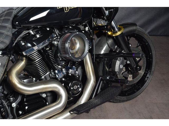 harley-davidson - road-glide-special-114