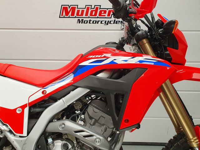 honda - crf-300-l