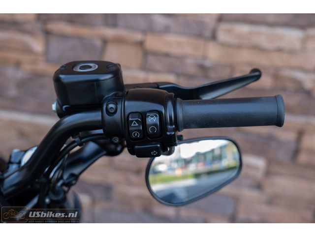 harley-davidson - sportster-forty-eight-xl-1200-x