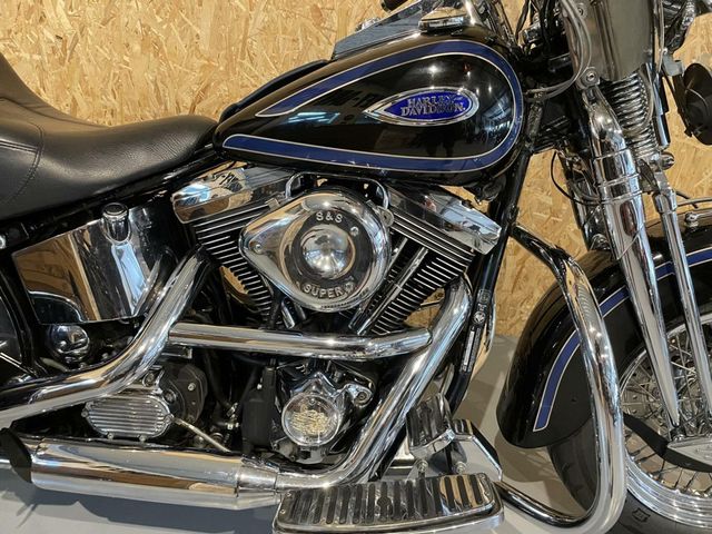 harley-davidson - springer-flsts-softail