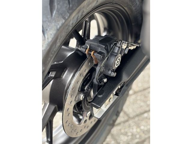 triumph - tiger-900-gt-pro