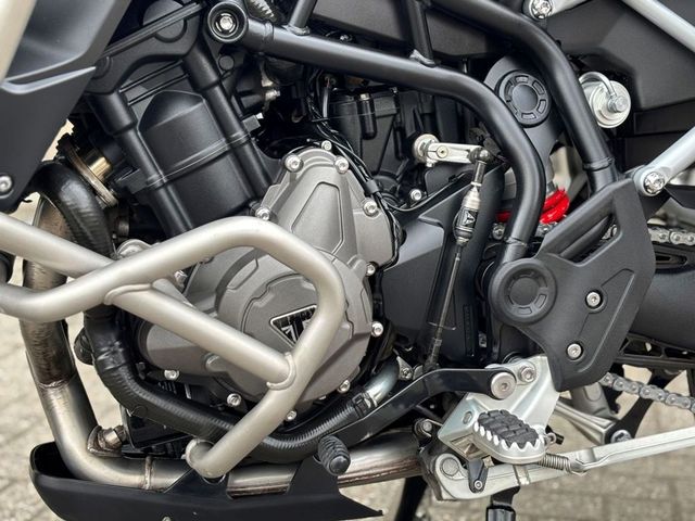 triumph - tiger-900-gt-pro