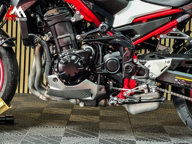 kawasaki - z900-performance