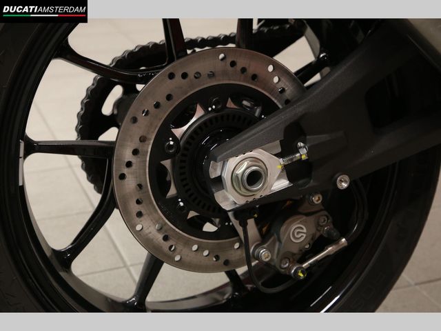 ducati - monster
