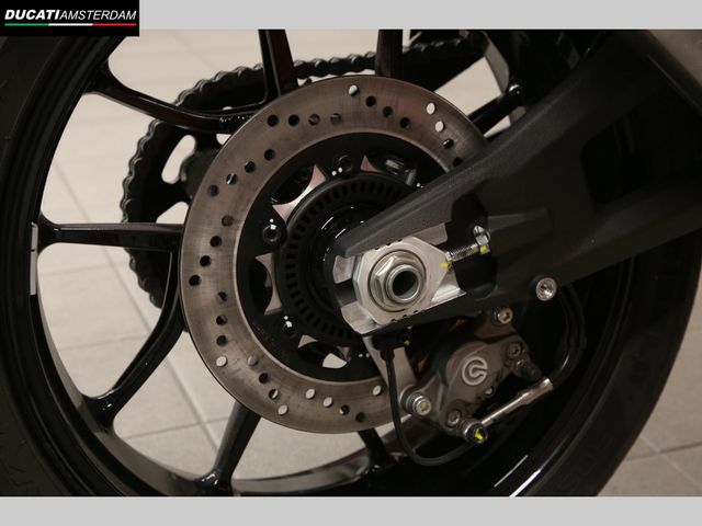 ducati - monster