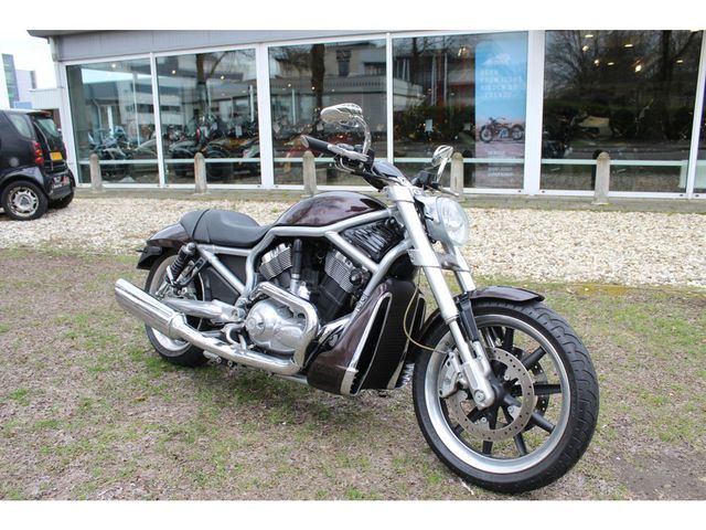 harley-davidson - v-rod-street-rod-vrscr