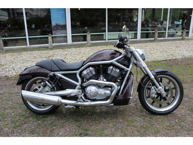 harley-davidson - v-rod-street-rod-vrscr