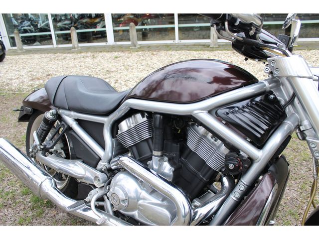 harley-davidson - v-rod-street-rod-vrscr