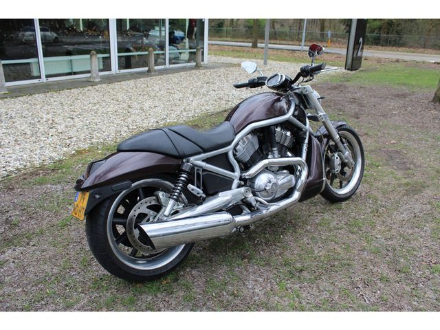 harley-davidson - v-rod-street-rod-vrscr