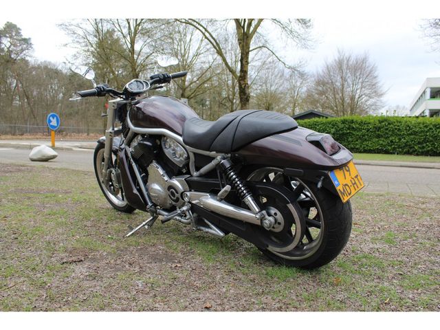 harley-davidson - v-rod-street-rod-vrscr