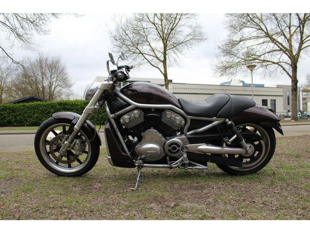 harley-davidson - v-rod-street-rod-vrscr