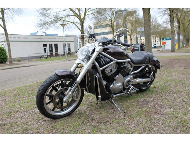 harley-davidson - v-rod-street-rod-vrscr