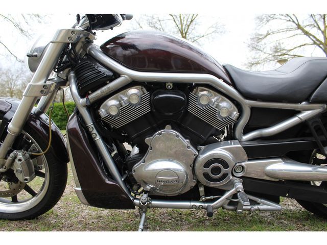 harley-davidson - v-rod-street-rod-vrscr