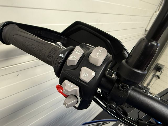 triumph - tiger-900-gt-pro