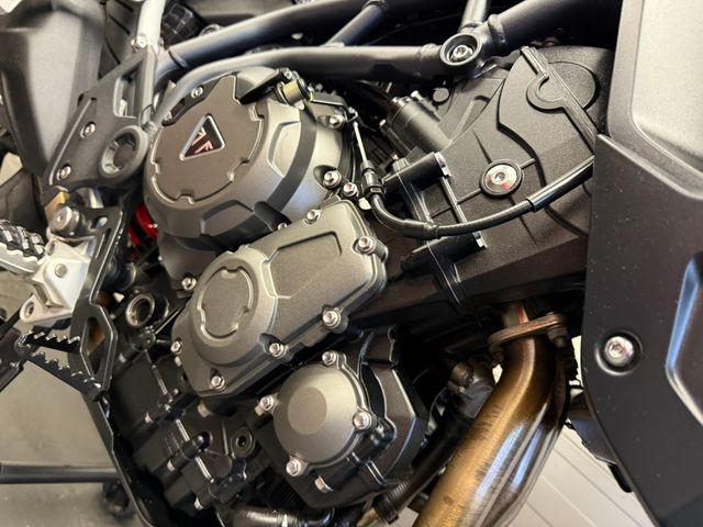 triumph - tiger-900-gt-pro