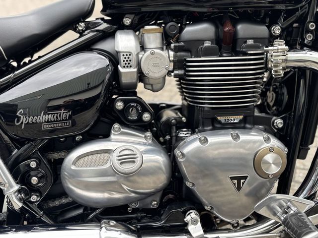 triumph - speedmaster