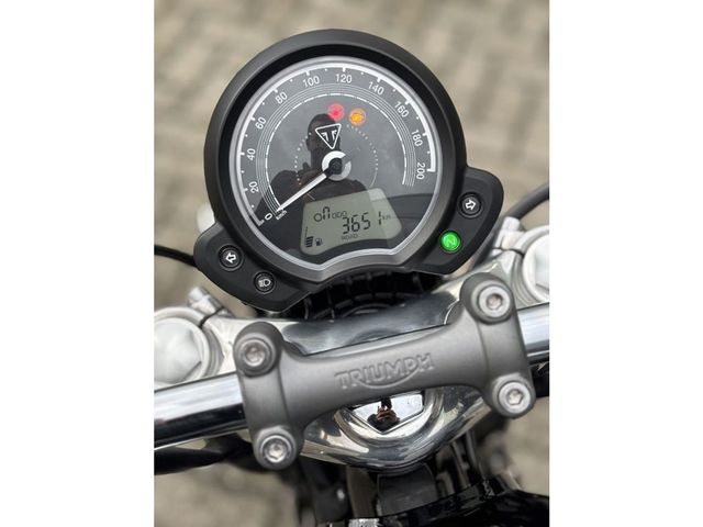 triumph - speedmaster