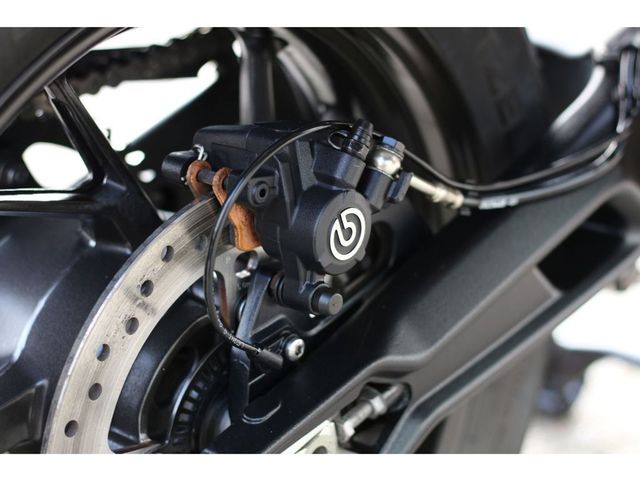 triumph - tiger-900-gt-pro