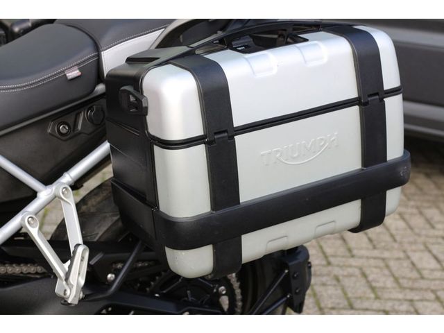 triumph - tiger-900-gt-pro