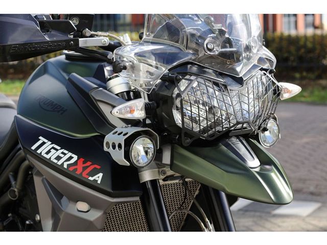 triumph - tiger-800-xca