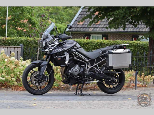 triumph - tiger-800-xrx
