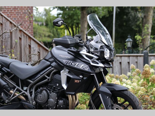 triumph - tiger-800-xrx