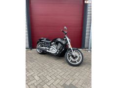 HARLEY-DAVIDSON V-ROD MUSCLE VRSCF