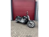 HARLEY-DAVIDSON V-ROD MUSCLE VRSCF